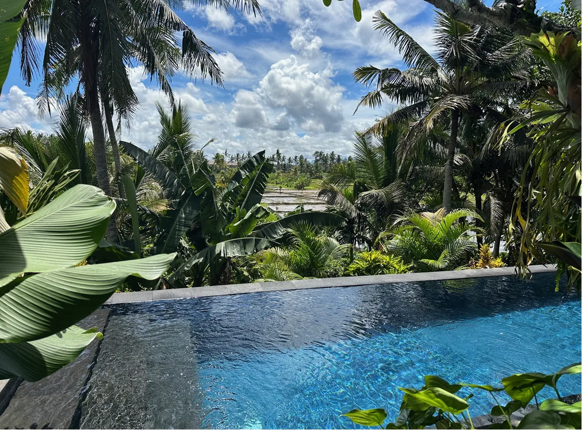 Private infinity pool overlooking emerald rice fields at The Shea Ubud, Mas, Ubud, Bali
